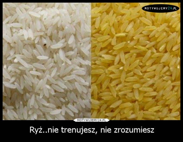 Ryż..nie trenujesz, nie zrozumiesz