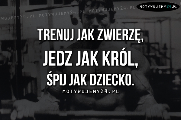 Trenuj jak zwierzę..