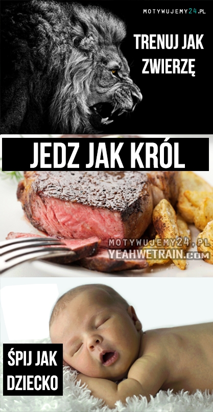 Trenuj jak zwierzę..