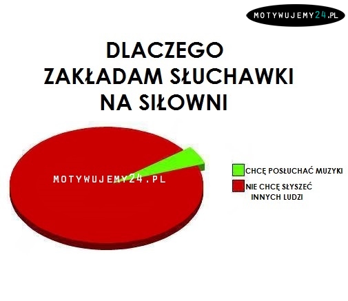 Trochę statystyk