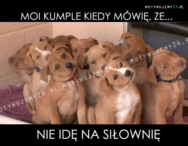 Kiedy mówię, że nie idę na siłownię