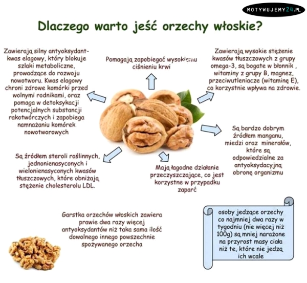 Dlaczego warto jeść orzechy włoskie