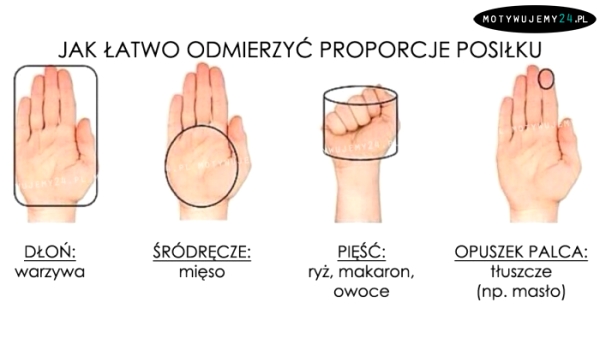 Jak łatwo odmierzyć proporcje posiłku