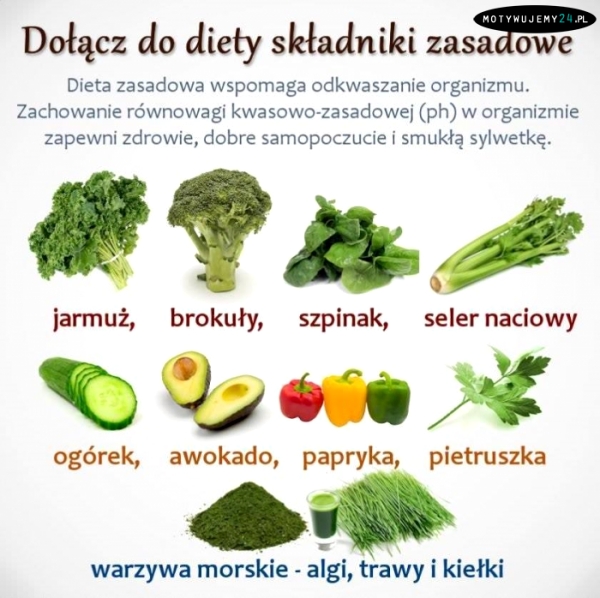 Składniki zasadowe