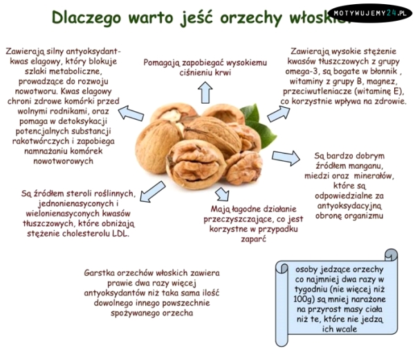 Dlaczego warto jeść orzechy włoskie?