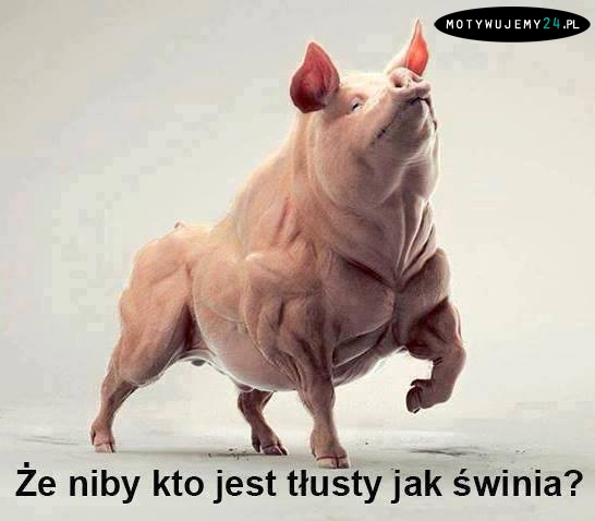 Ktoś tu się wziął za siebie