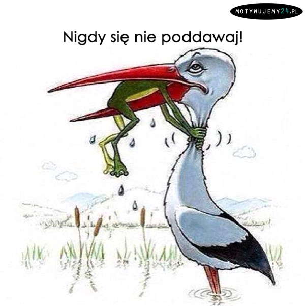 Nigdy się nie poddawaj!