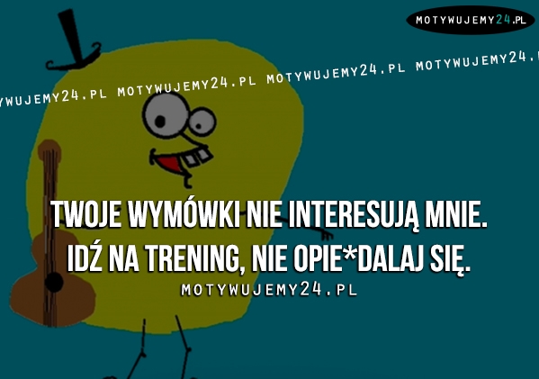 Twoje wymówki nie interesują mnie.