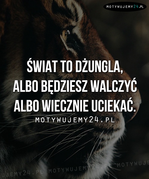 Świat to dżungla...