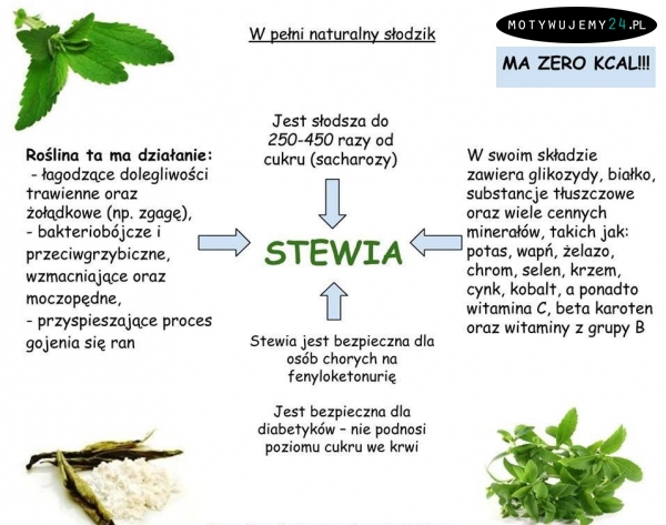 Stewia