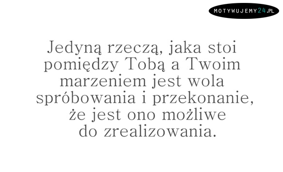 Jedyną rzeczą...