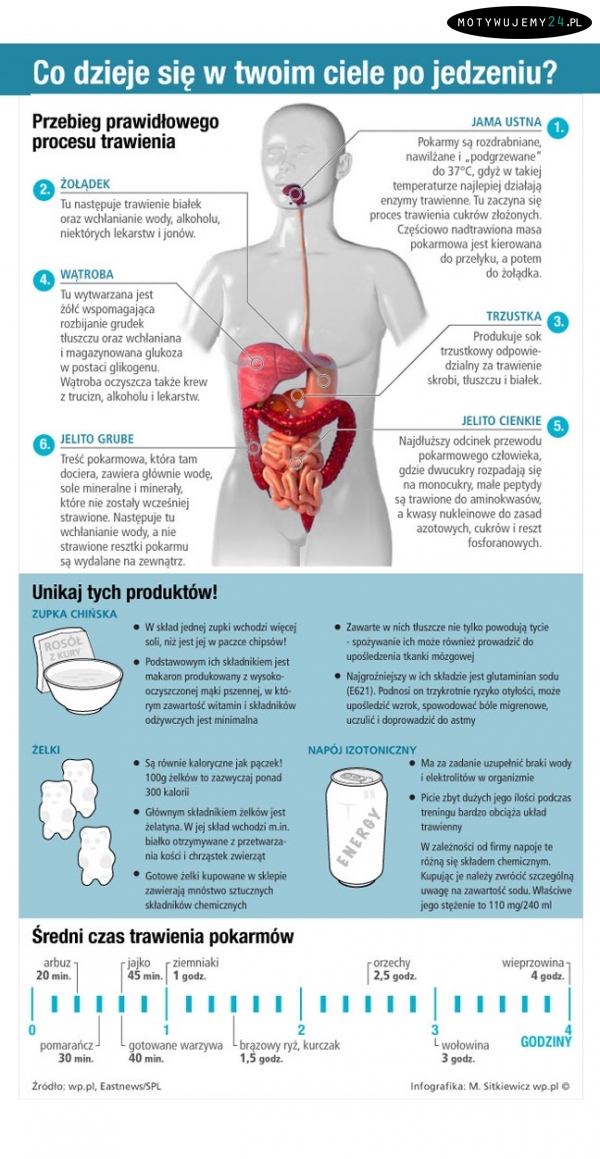 Co dzieje się w twoim ciele po jedzeniu?