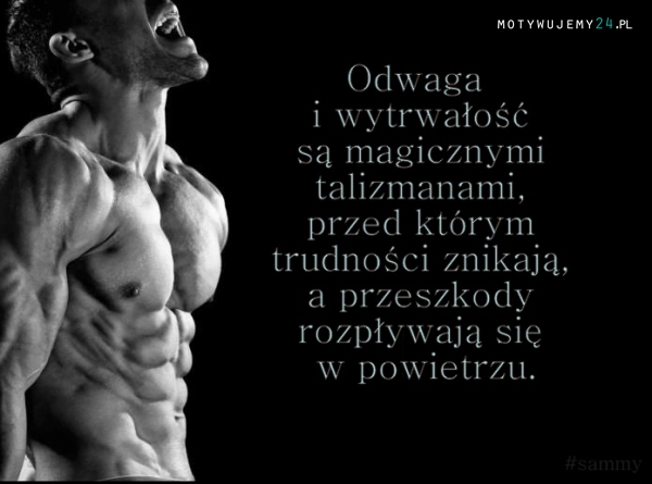 Odwaga i wytrwałość