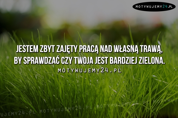 Jestem zbyt zajęty pracą nad własną trawą, by...