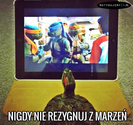 Nigdy nie rezygnuj ze swoich marzeń!