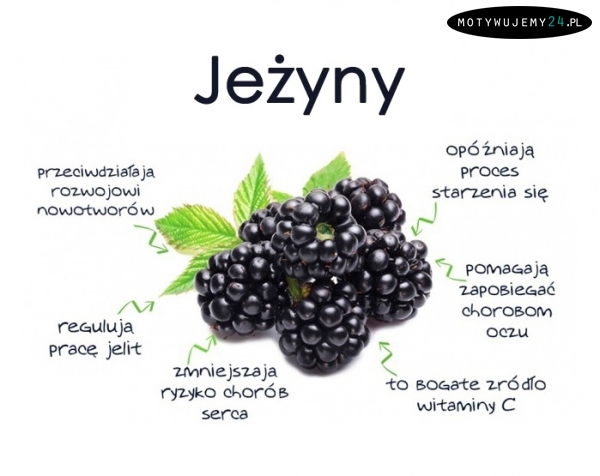 Dlaczego warto jeść jeżyny?