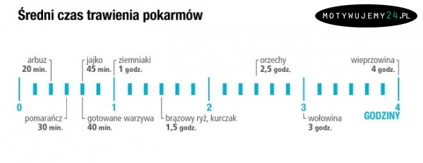 Średni czas trawienia posiłków