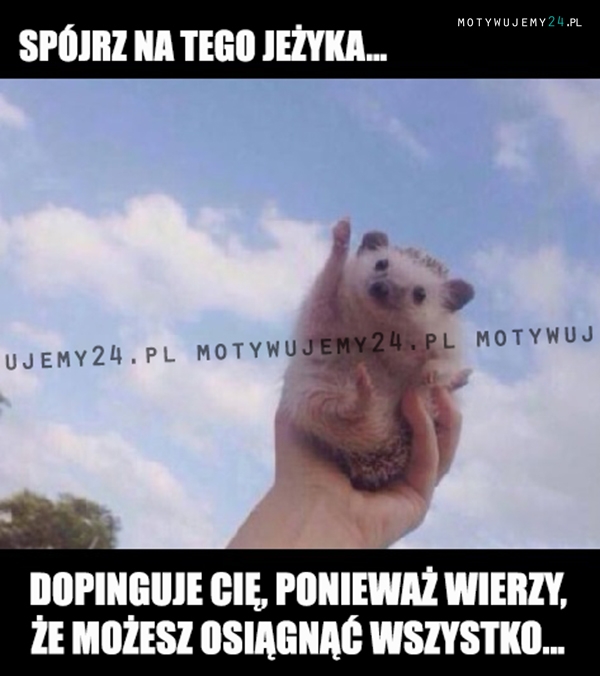 Jeżyk - dzisiejszy motywator...