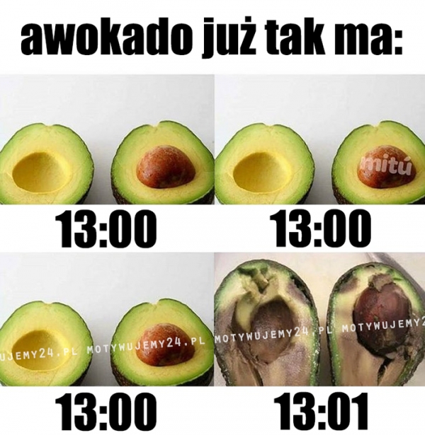 Awokado już tak ma...