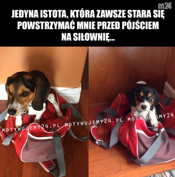 I jak tu wyjść...