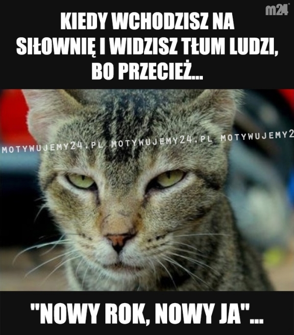 Dwa miesiące i się przeluźni...