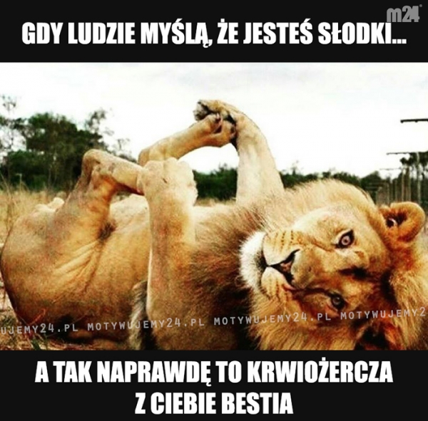 Niech sobie myślą...