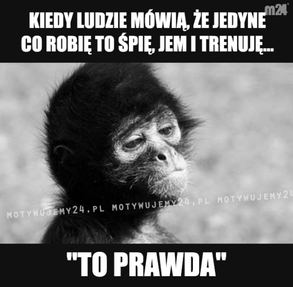 Co tu dużo mówić...