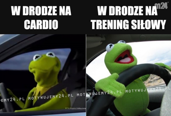 Nie ma co się oszukiwać...