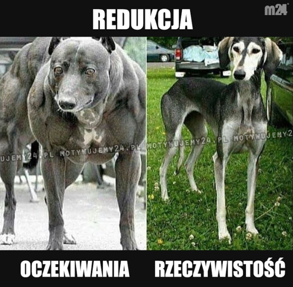 Tak to wygląda...