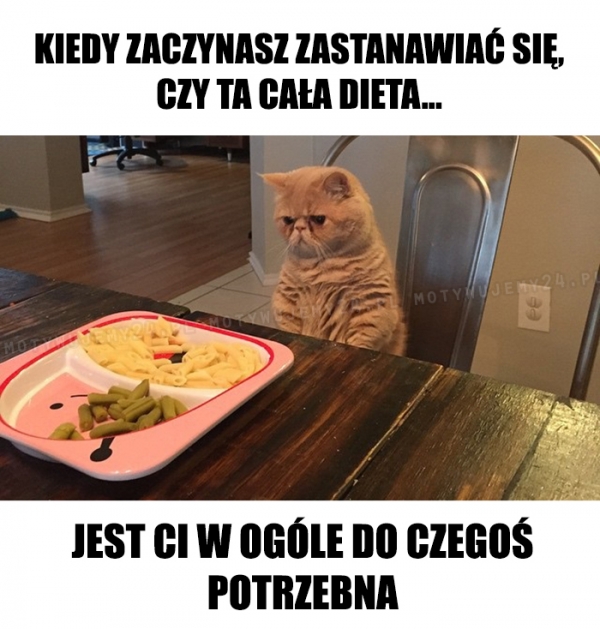 Oto jest pytanie...