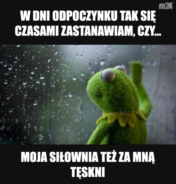 Tyle pytań, żadnych odpowiedzi...